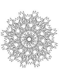 Mandala tulipaner