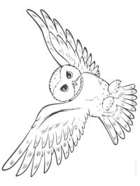 Flyvende ugle