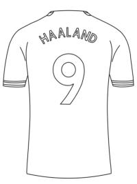 Erling Haaland fodboldtr&oslash;je