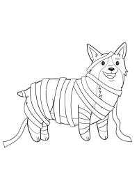 Corgi hund klædt ud som mumie