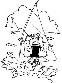 Windsurfer Skipper Skræk