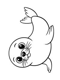Sæl