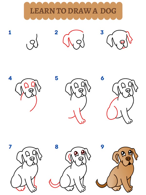 Sådan tegner man en hund