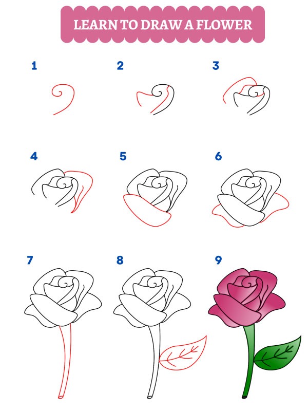 Sådan tegner man en rose