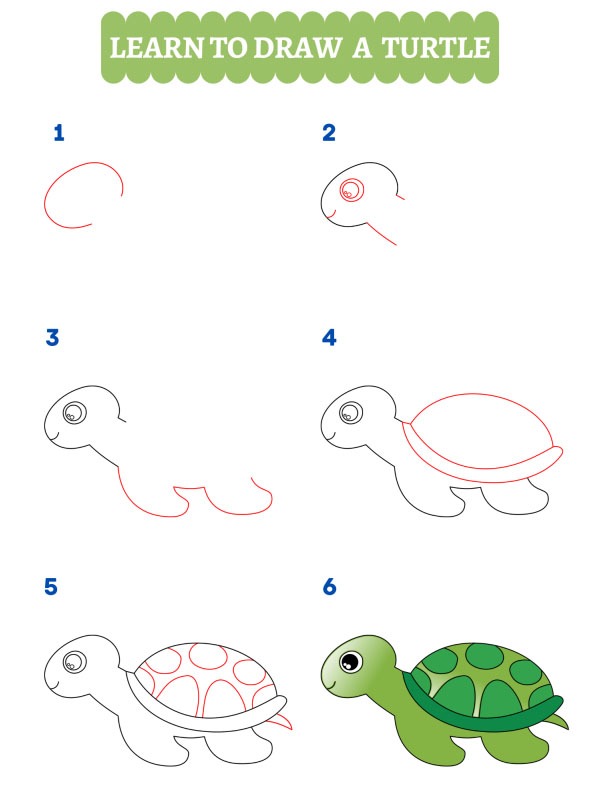 Sådan tegner man en skildpadde