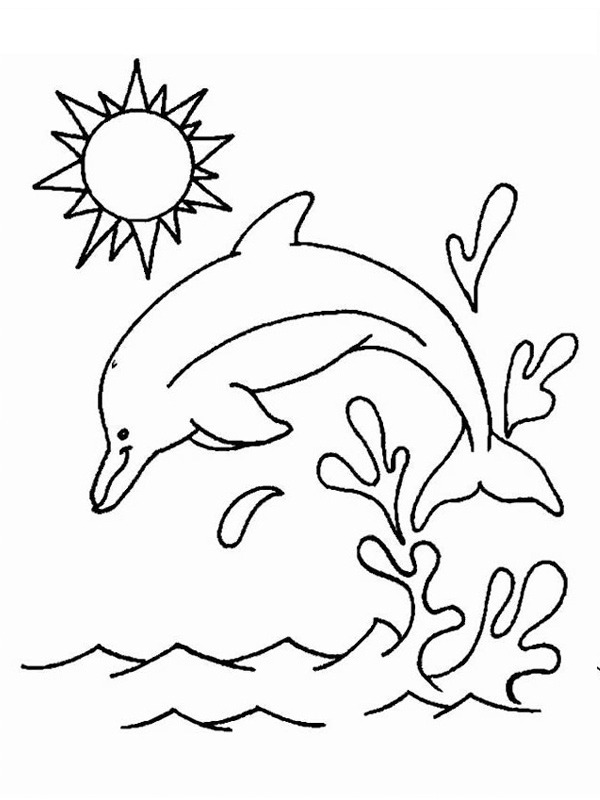 Delfin Tegninger Delfin Tegninger