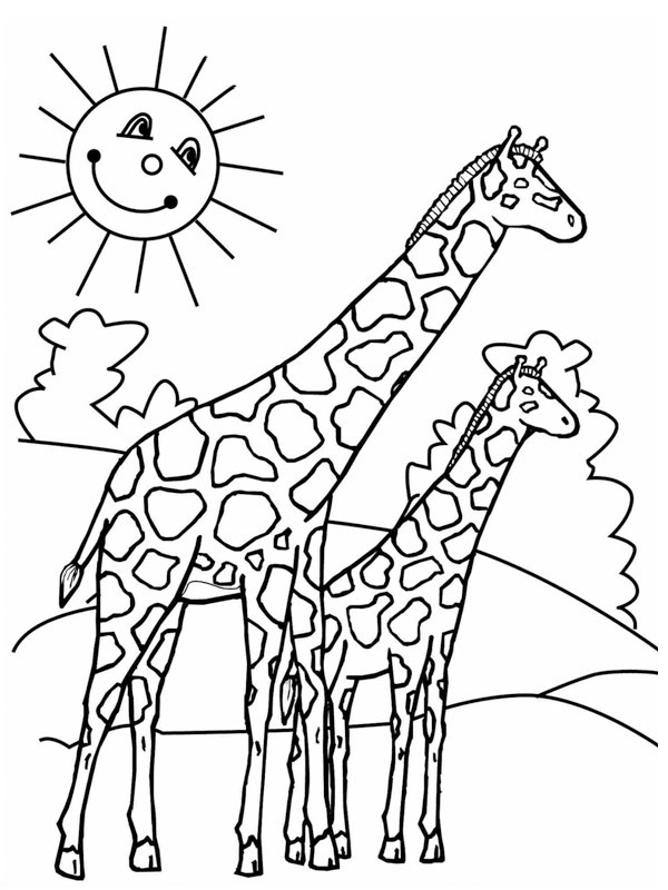 Giraf Tegninger
