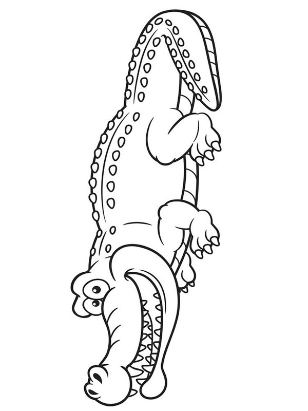 Krokodille Tegninger Krokodille Tegninger