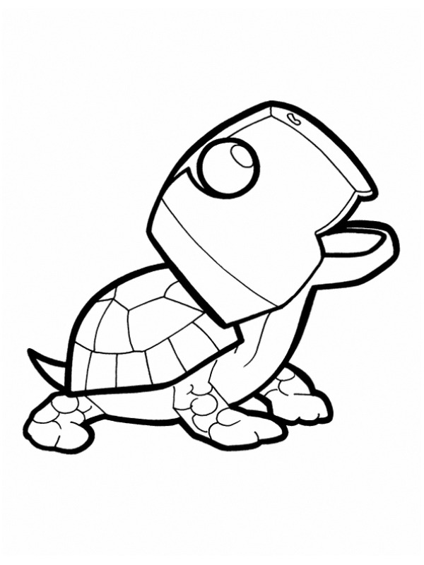 Skildpadden Shelly Tegninger