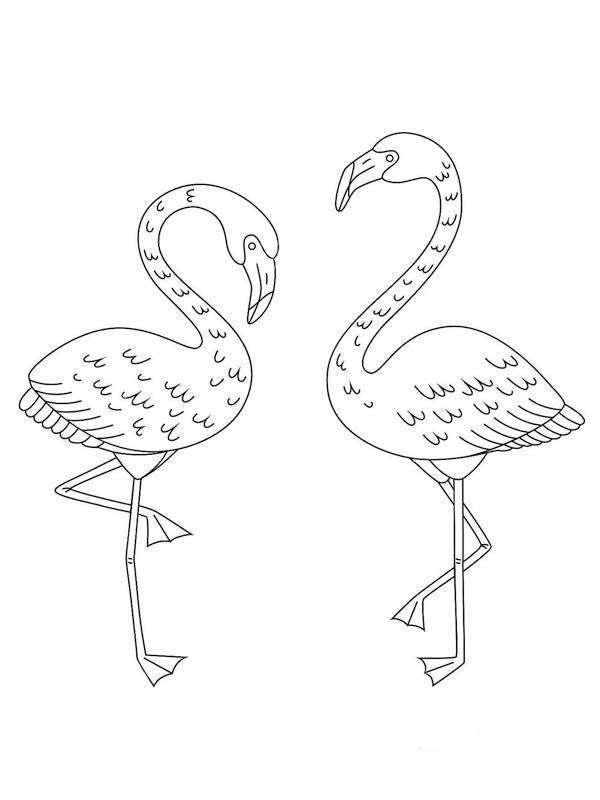 2 flamingoer Tegninger 2 flamingoer Tegninger