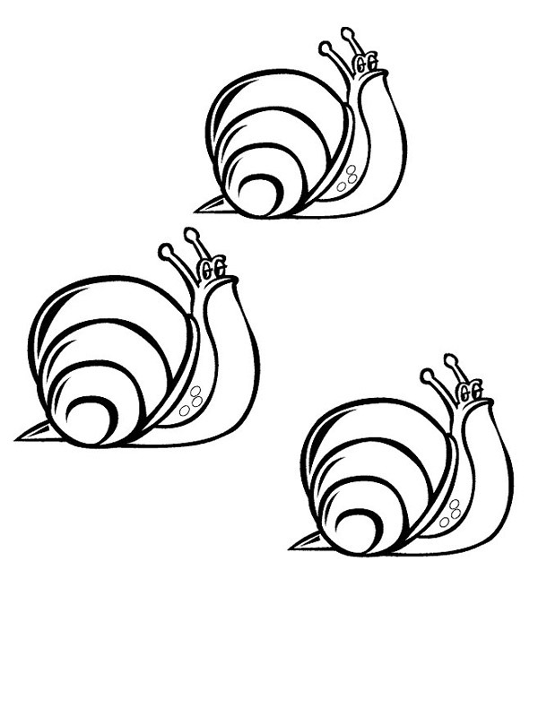 3 snegle Tegninger 3 snegle Tegninger
