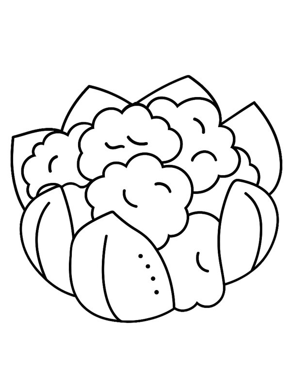 Blomkål Tegninger Blomkål Tegninger