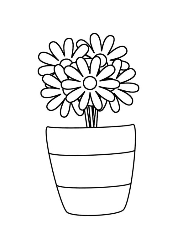 Buket af tusindfryd i en vase Tegninger Buket af tusindfryd i en vase Tegninger