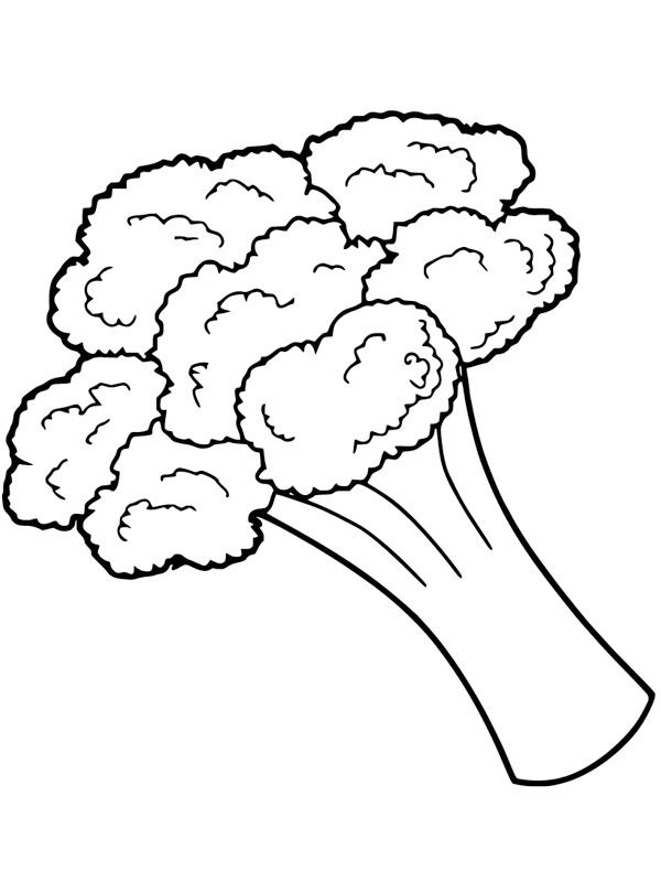 Broccoli Tegninger Broccoli Tegninger