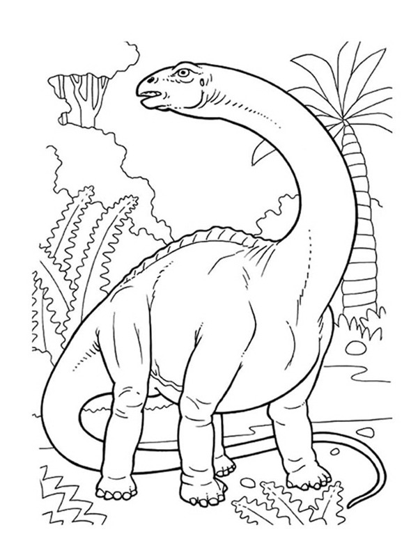Brontosaurus Tegninger Brontosaurus Tegninger