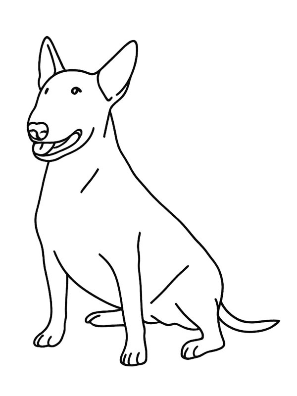 Bullterrier Tegninger Bullterrier Tegninger