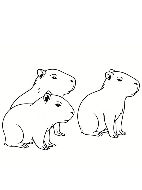 Capybara babyer Tegninger