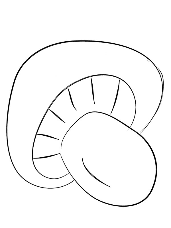 Champignon Tegninger Champignon Tegninger