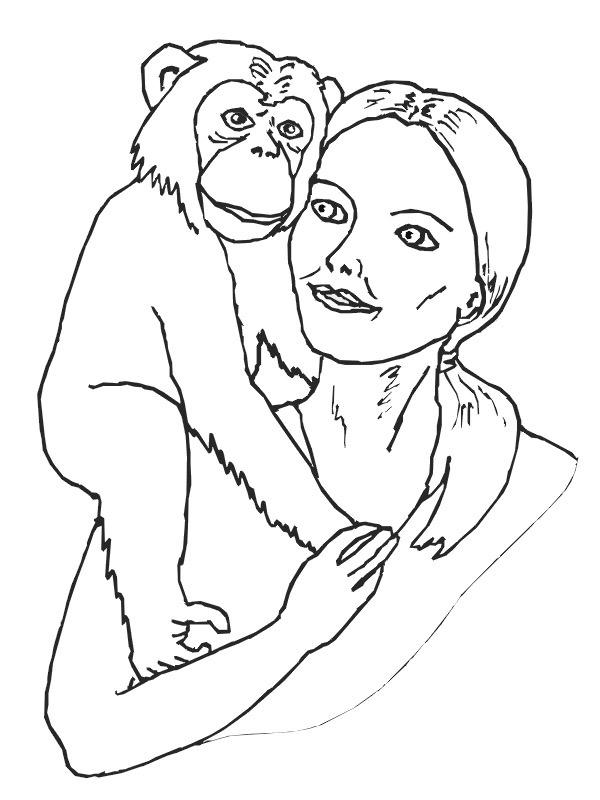Chimpanse på kvindes skulder Tegninger