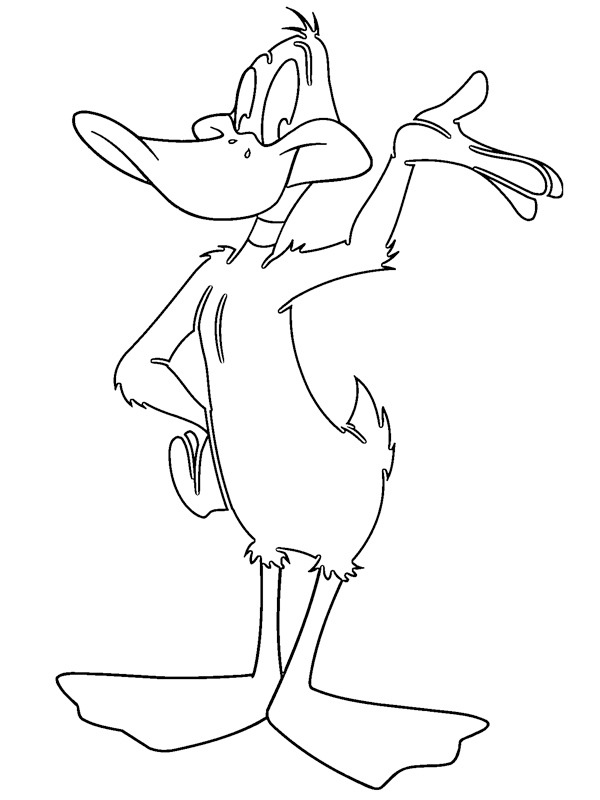 Daffy Duck Tegninger Daffy Duck Tegninger