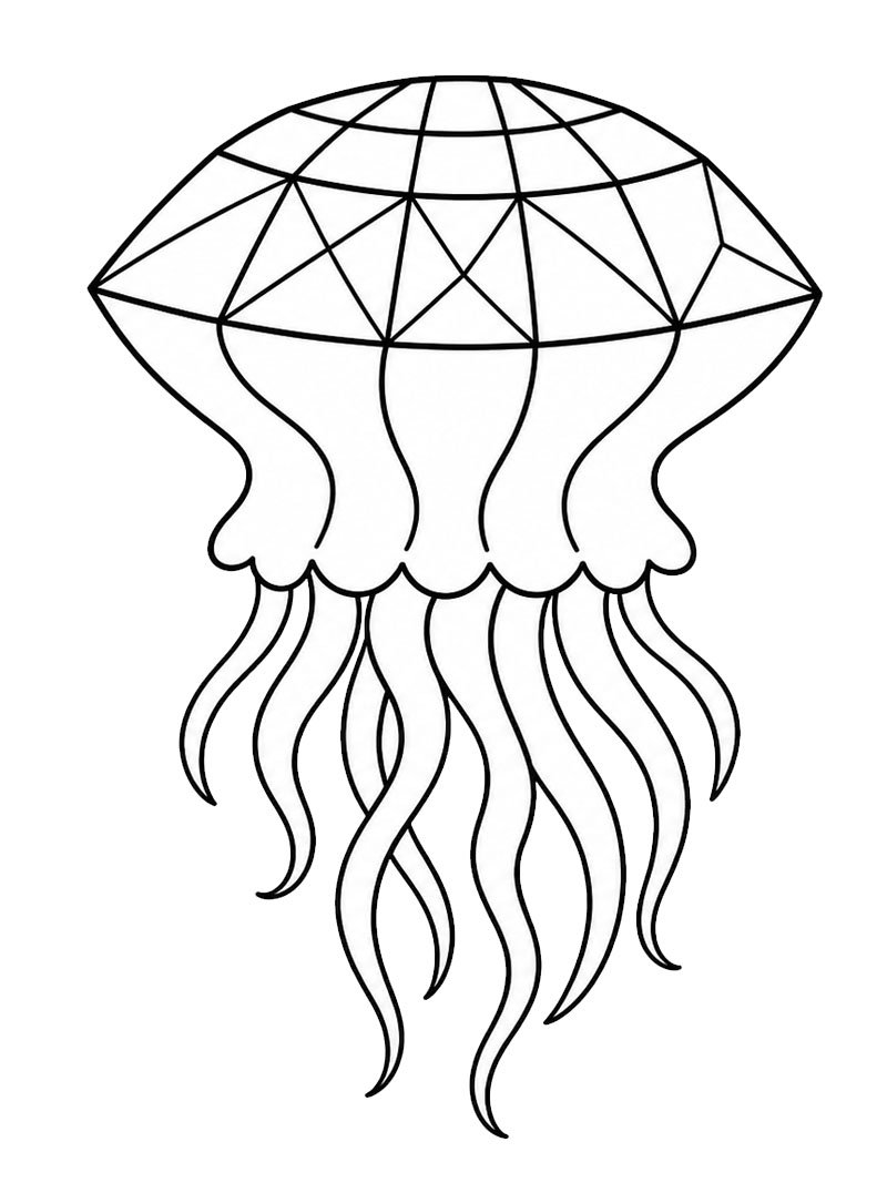 Diamantusa Tegninger
