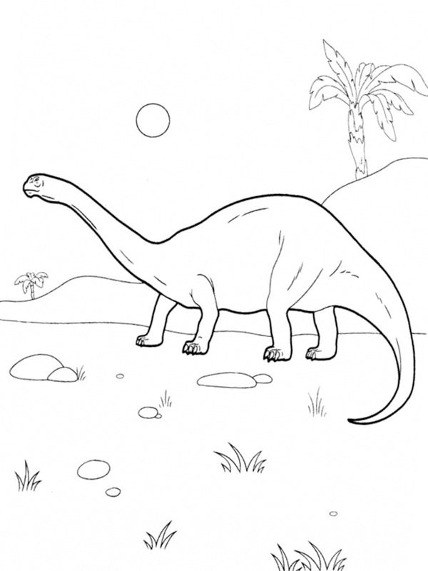 Diplodocus dinosaur Tegninger Diplodocus dinosaur Tegninger