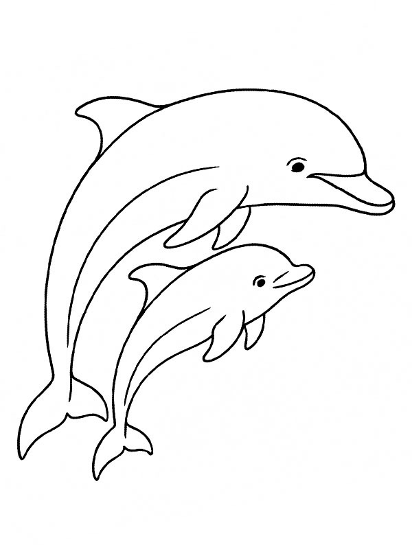Delfin med baby Tegninger