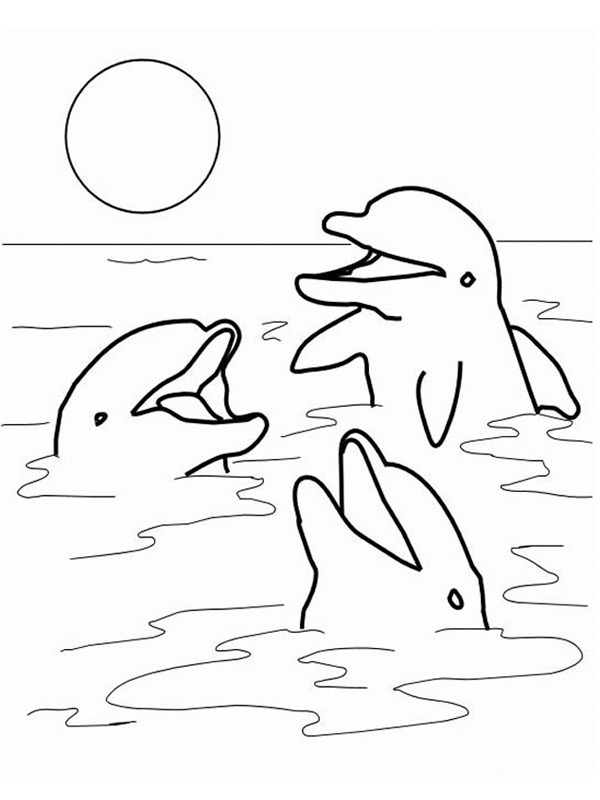 Delfiner i havet Tegninger