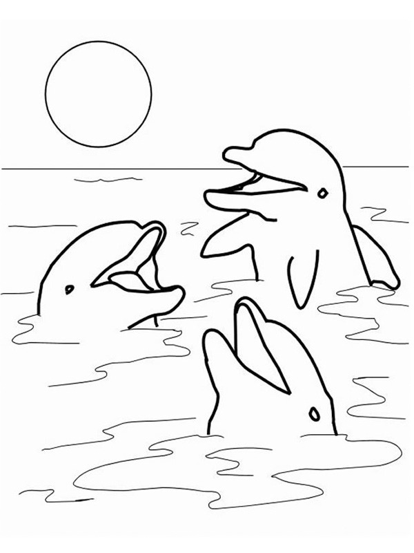 Delfiner i havet Tegninger Delfiner i havet Tegninger