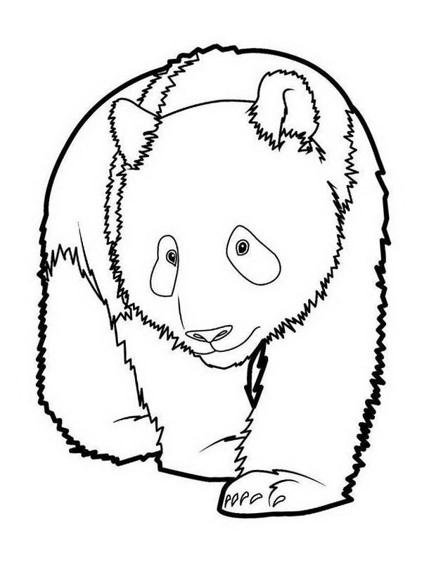 Trist panda Tegninger Trist panda Tegninger