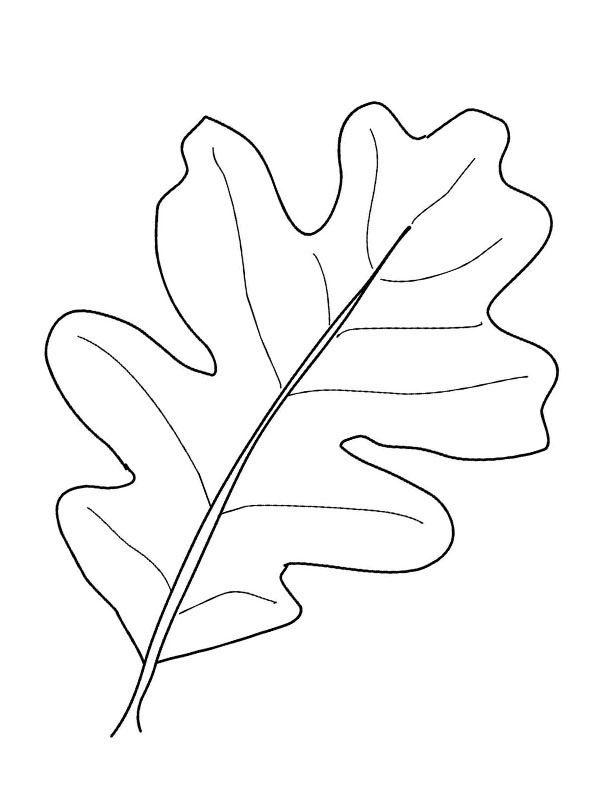 Egeblad Tegninger Egeblad Tegninger