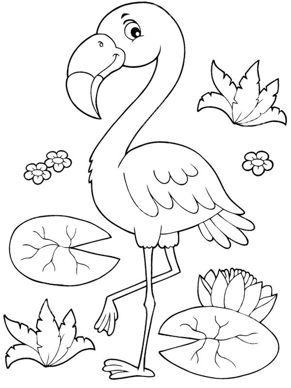 Flamingo Tegninger Flamingo Tegninger