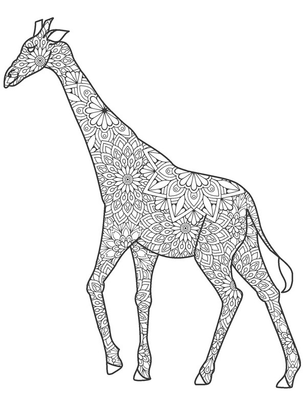Giraf for voksne Tegninger