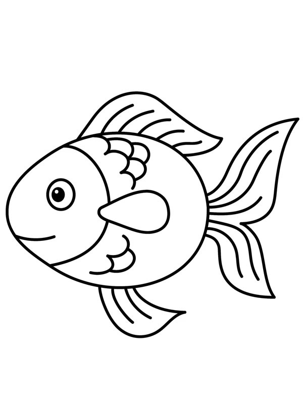 Guldfisk Tegninger Guldfisk Tegninger