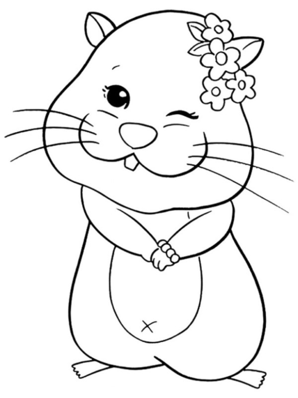 Sjov hamster Tegninger Sjov hamster Tegninger