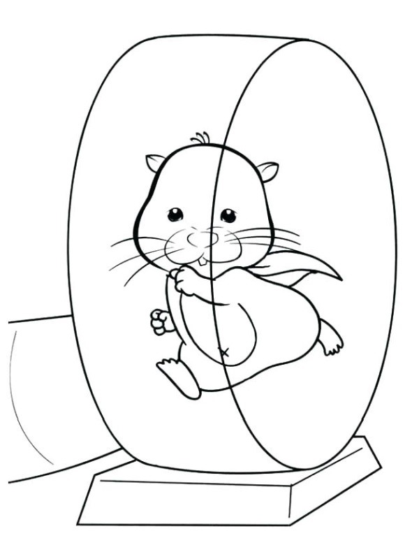 Hamster i hamsterhjulet Malebogsside
