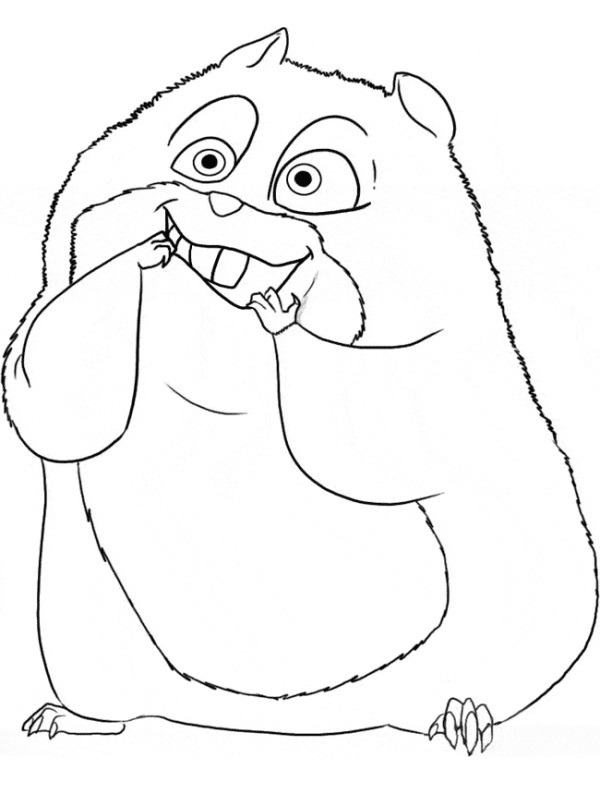 Hamster Tegninger Hamster Tegninger