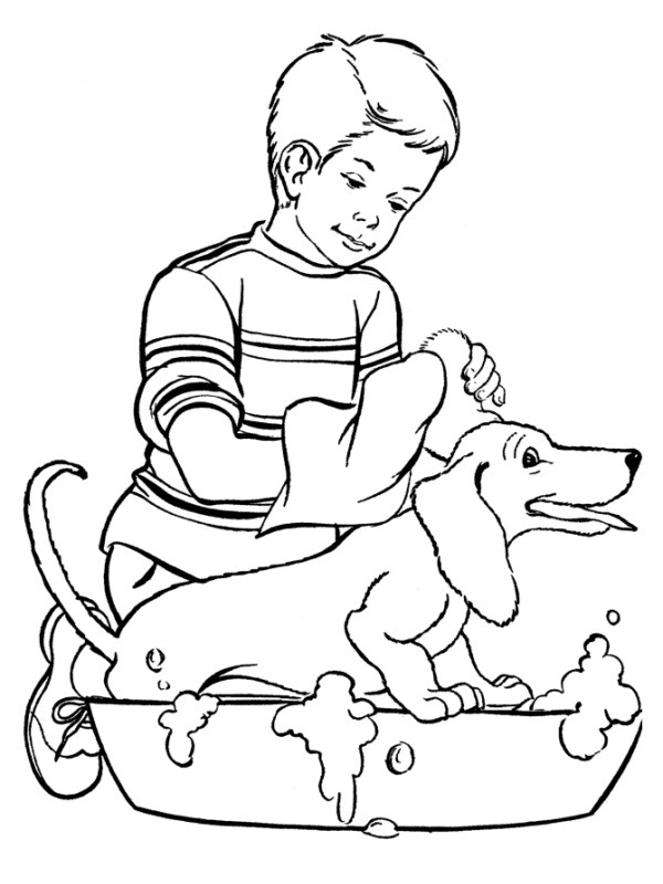 Vasker hunden Tegninger