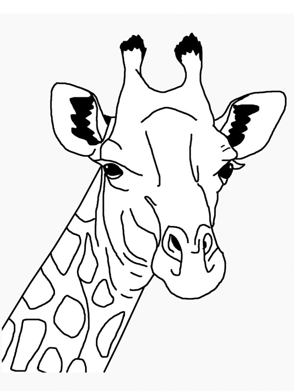 Girafhovede Malebogsside
