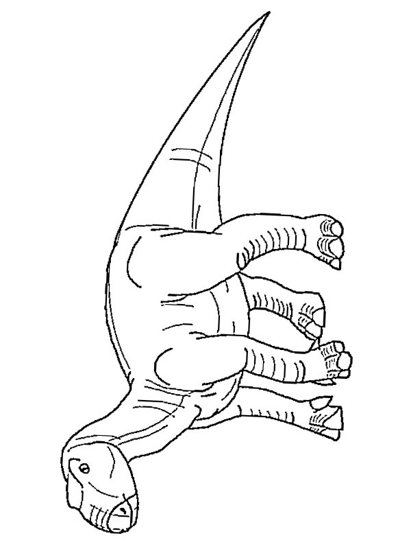 Iguanodon Tegninger Iguanodon Tegninger