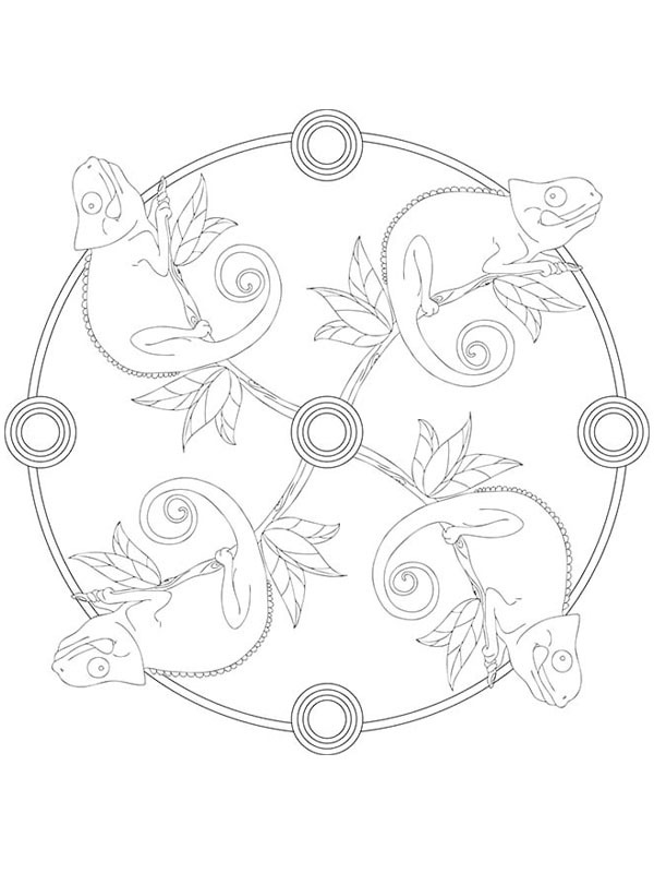 Kamæleon mandala Tegninger Kamæleon mandala Tegninger