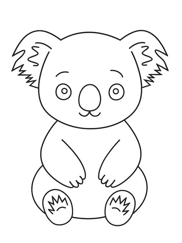 Koala Tegninger
