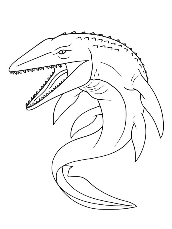 Mosasaurus Tegninger