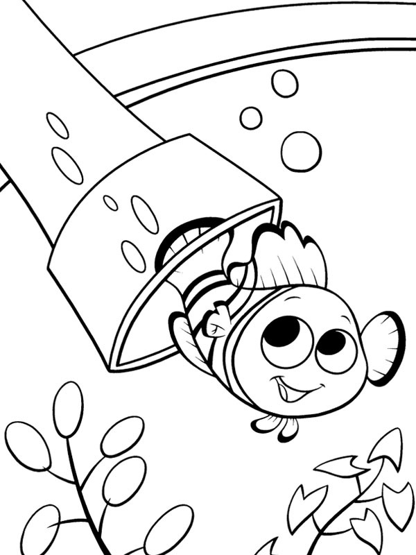 Nemo Tegninger Nemo Tegninger
