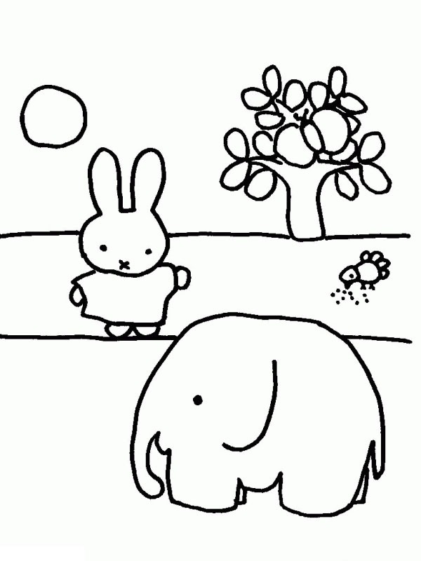 Miffy med en elefant Tegninger