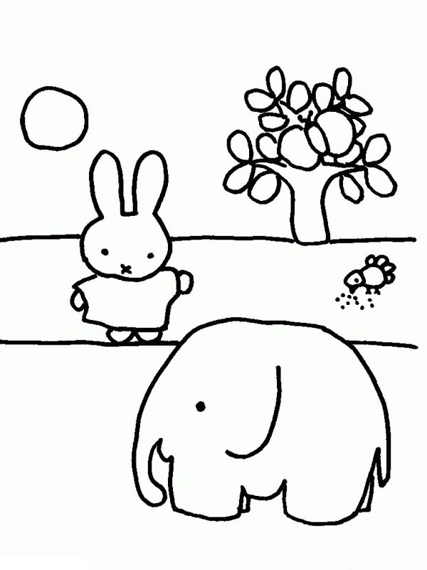 Miffy med en elefant Tegninger Miffy med en elefant Tegninger