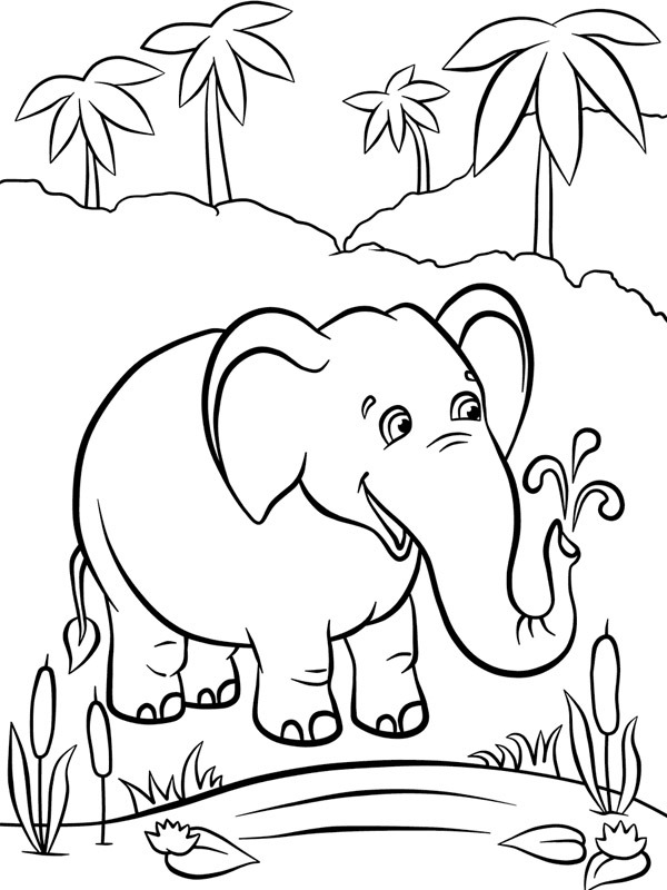 Elefant ved vandet Tegninger