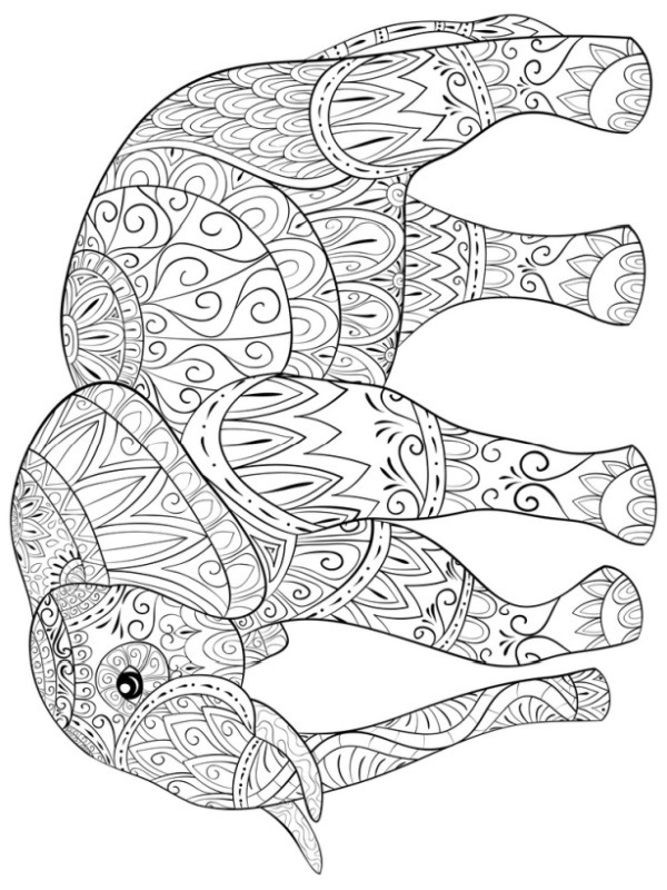 Elefant for voksne Tegninger Elefant for voksne Tegninger