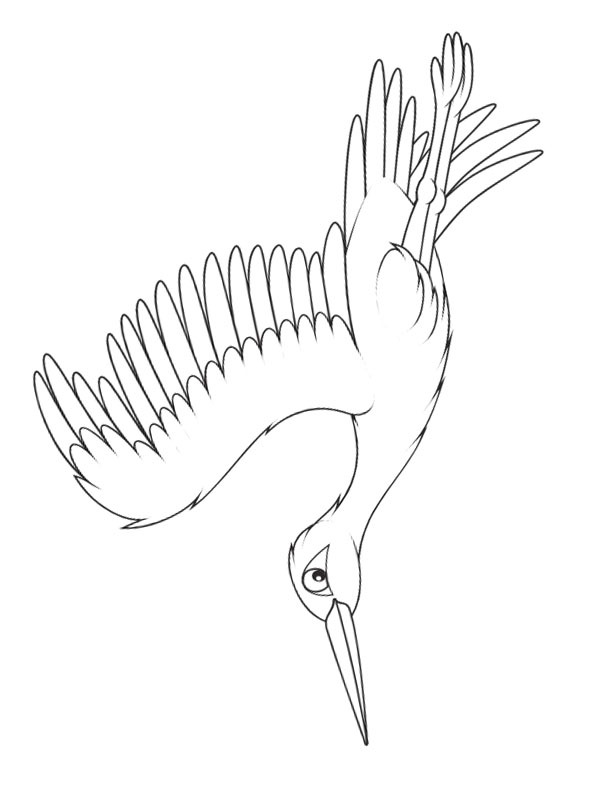 Hvid stork Tegninger Hvid stork Tegninger