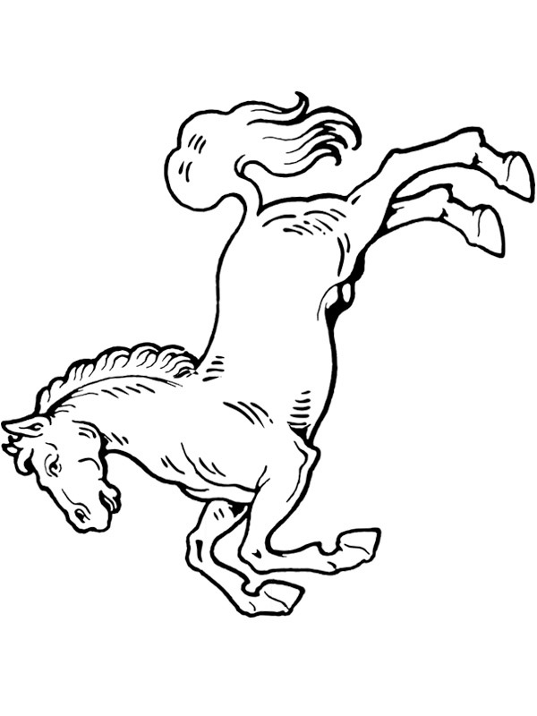 Hest hopper Tegninger Hest hopper Tegninger